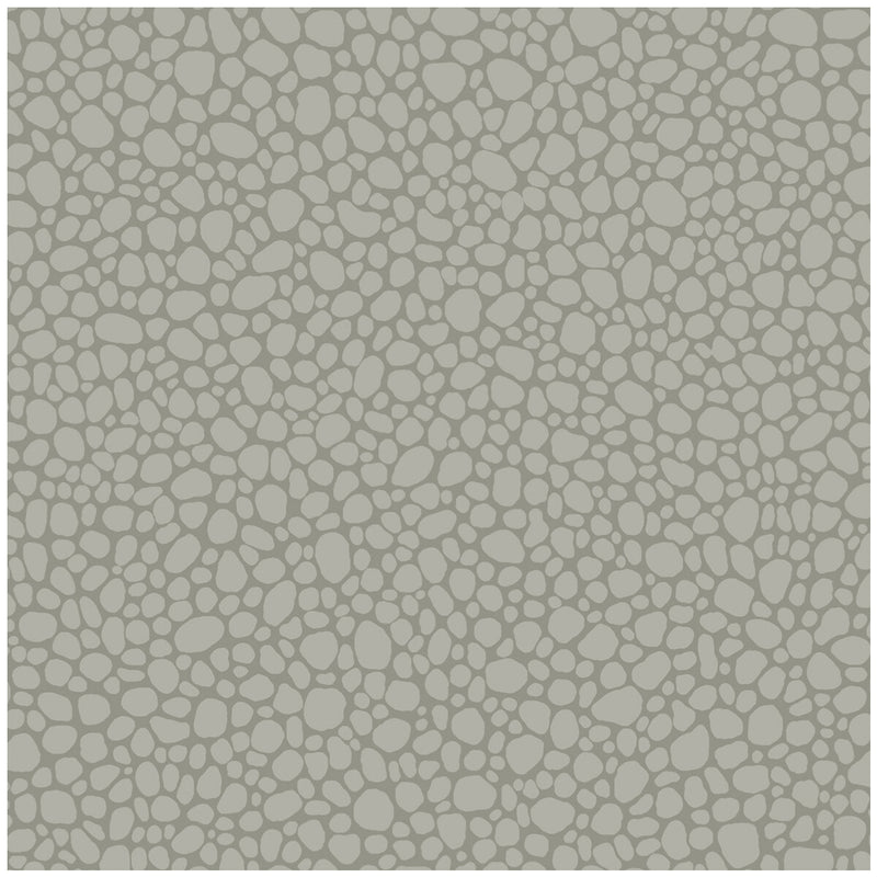 COLE & SON - PEBBLE- GREY - Wallcovering by the Roll GREY