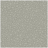 COLE & SON - PEBBLE- GREY - Wallcovering by the Roll