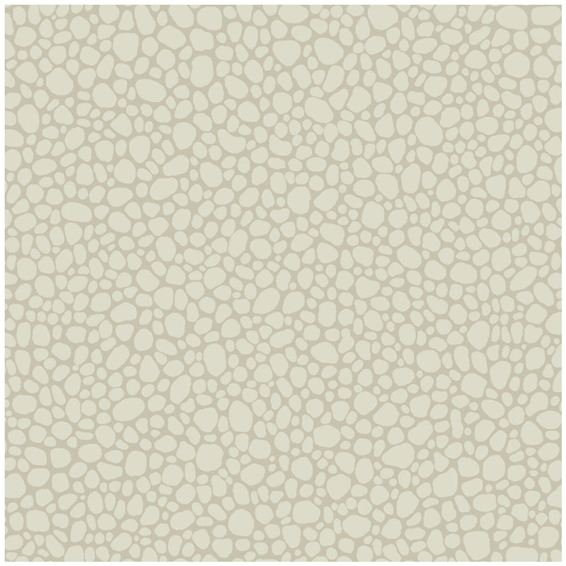 COLE & SON - PEBBLE- STONE - Wallcovering by the Roll STONE