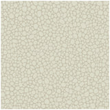 COLE & SON - PEBBLE- STONE - Wallcovering by the Roll
