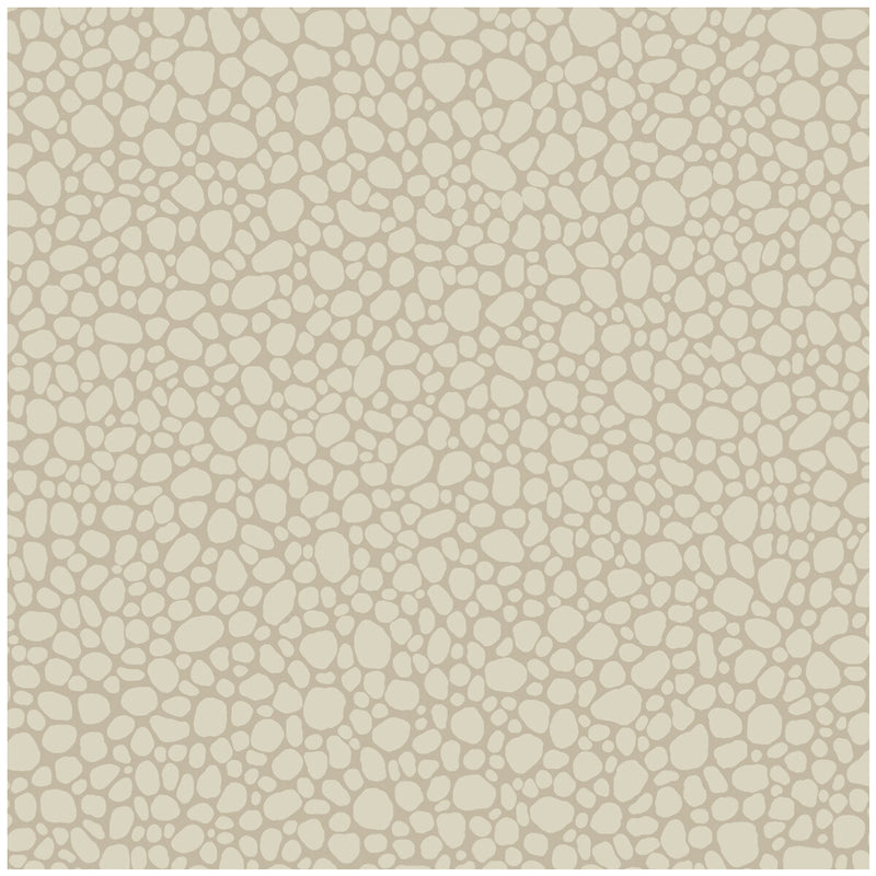 COLE & SON - PEBBLE- PARCHMENT - Wallcovering by the Roll PARCHMENT