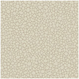 COLE & SON - PEBBLE- PARCHMENT - Wallcovering by the Roll