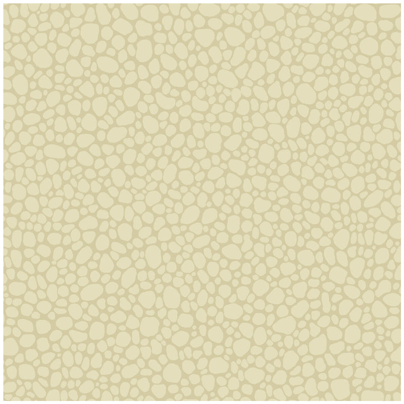 COLE & SON - PEBBLE- CREAM - Wallcovering by the Roll CREAM