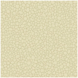 COLE & SON - PEBBLE- CREAM - Wallcovering by the Roll