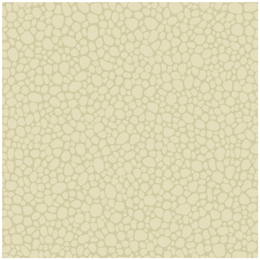 COLE & SON - PEBBLE- CREAM - Wallcovering by the Roll CREAM