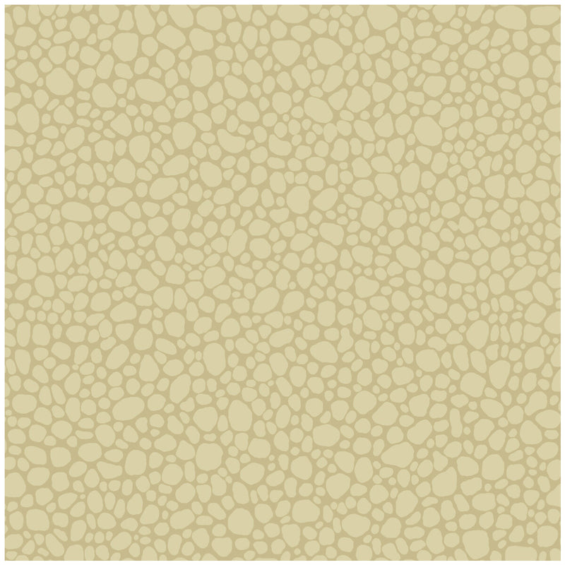 COLE & SON - PEBBLE- LATTE - Wallcovering by the Roll LATTE