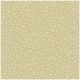 COLE & SON - PEBBLE- LATTE - Wallcovering by the Roll