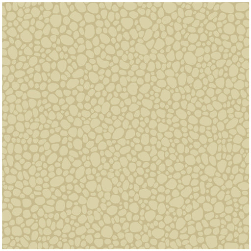 COLE & SON - PEBBLE- LATTE - Wallcovering by the Roll LATTE