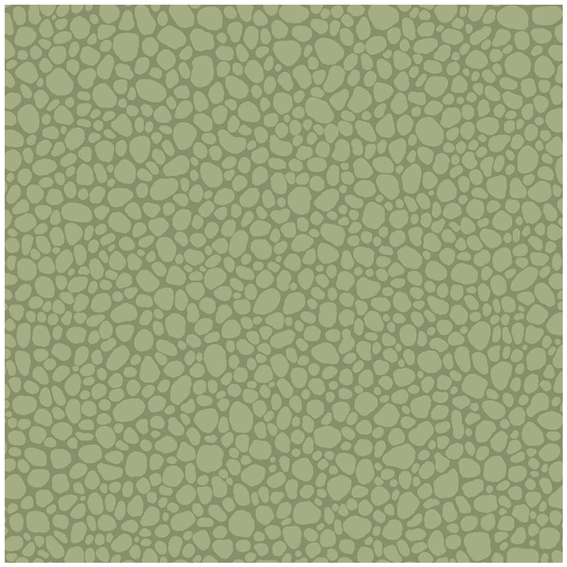 COLE & SON - PEBBLE- DARK OLIVE - Wallcovering by the Roll DARK OLIVE