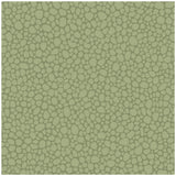 COLE & SON - PEBBLE- DARK OLIVE - Wallcovering by the Roll