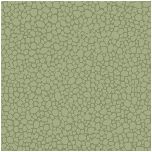 COLE & SON - PEBBLE- DARK OLIVE - Wallcovering by the Roll DARK OLIVE