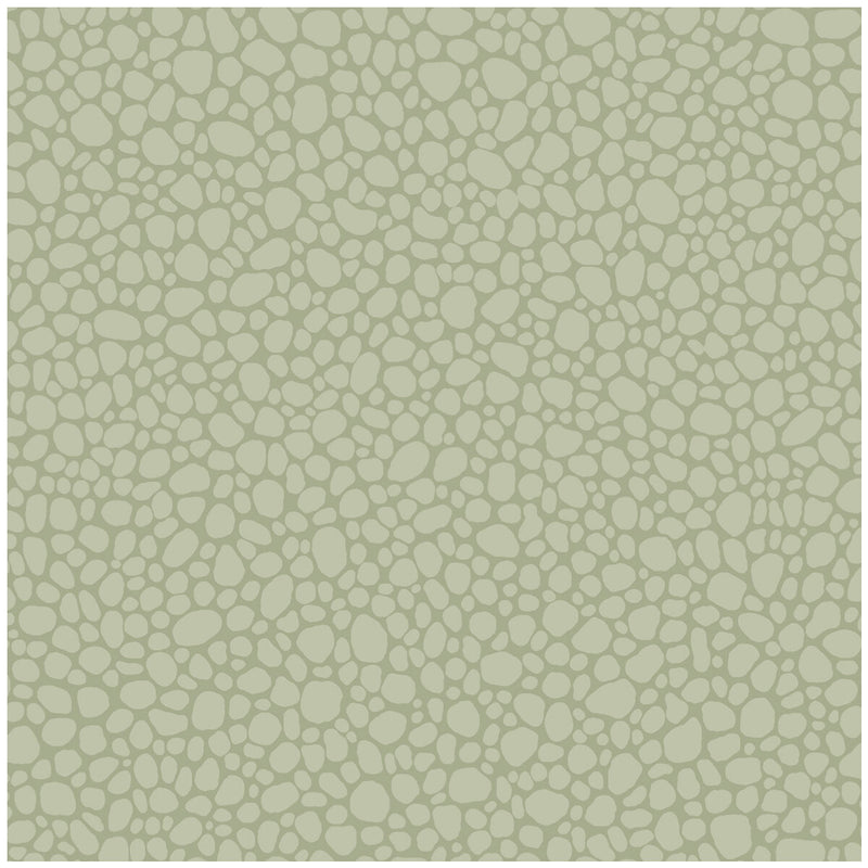 COLE & SON - PEBBLE- SAGE - Wallcovering by the Roll SAGE