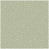 COLE & SON - PEBBLE- SAGE - Wallcovering by the Roll