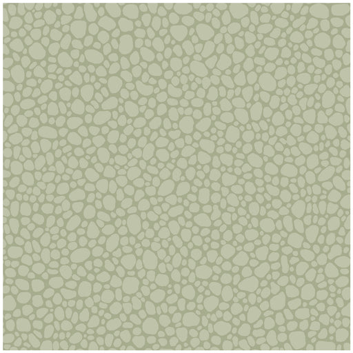 COLE & SON - PEBBLE- SAGE - Wallcovering by the Roll SAGE