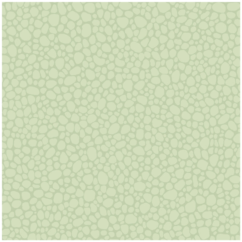 COLE & SON - PEBBLE- DUCK EGG - Wallcovering by the Roll DUCK EGG