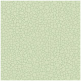 COLE & SON - PEBBLE- DUCK EGG - Wallcovering by the Roll