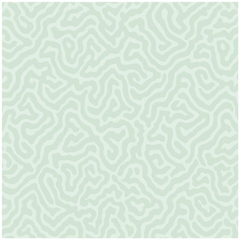 COLE & SON - CORAL- DUCK EGG - Wallcovering by the Roll DUCK EGG