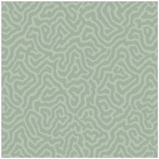 COLE & SON - CORAL- SAGE - Wallcovering by the Roll SAGE