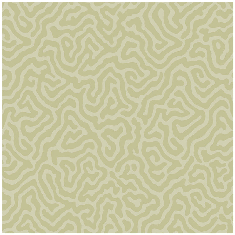 COLE & SON - CORAL- OLD OLIVE - Wallcovering by the Roll OLD OLIVE