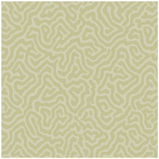 COLE & SON - CORAL- OLD OLIVE - Wallcovering by the Roll OLD OLIVE