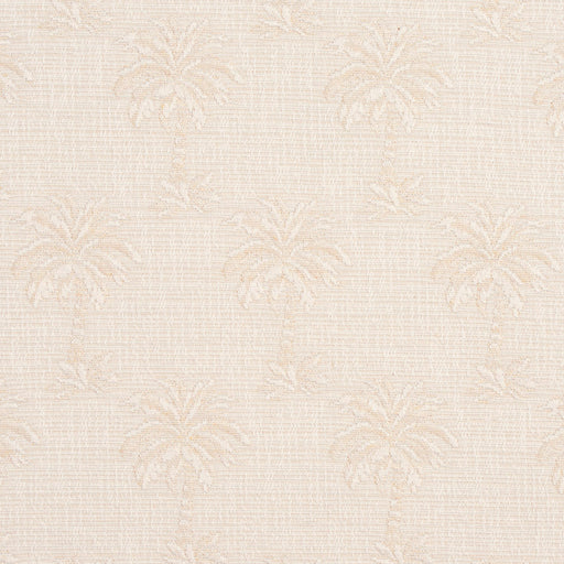 Charlotte - 1077 - Palm Beach - Fabric by the Yard Palm Beach