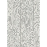 COLE & SON - ZEBRAWOOD- GREY - Wallcovering by the Roll