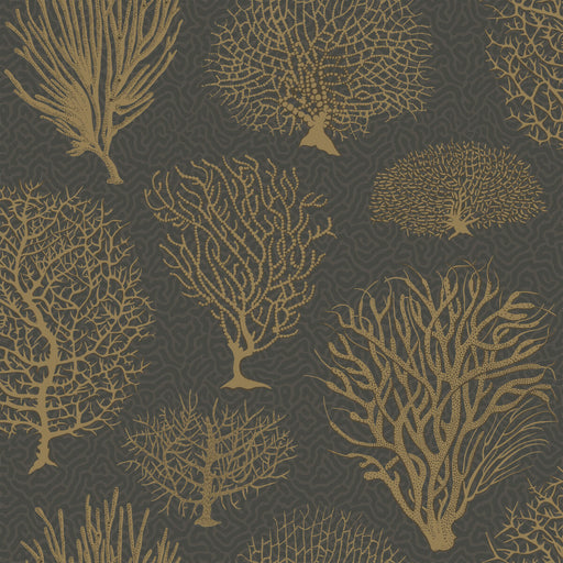 COLE & SON - SEAFERN- BLACK & GOLD - Wallcovering by the Roll BLACK & GOLD
