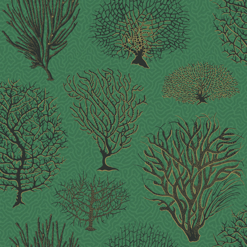 COLE & SON - SEAFERN- EMERALD - Wallcovering by the Roll EMERALD