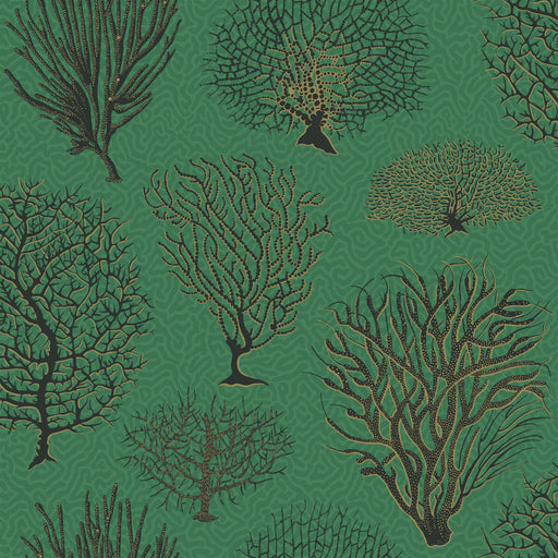 COLE & SON - SEAFERN- EMERALD - Wallcovering by the Roll EMERALD