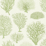 COLE & SON - SEAFERN- SOFT GREEN - Wallcovering by the Roll