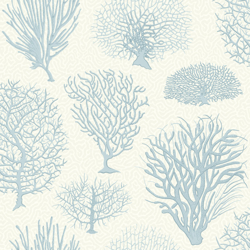 COLE & SON - SEAFERN- BLUE - Wallcovering by the Roll BLUE