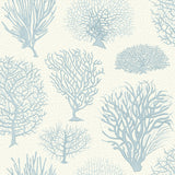 COLE & SON - SEAFERN- BLUE - Wallcovering by the Roll