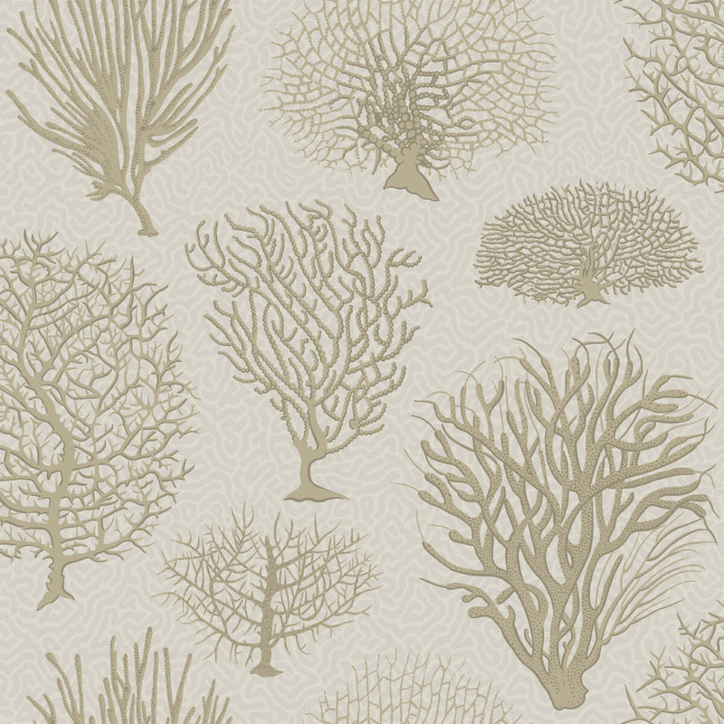 COLE & SON - SEAFERN- STONE - Wallcovering by the Roll STONE
