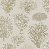 COLE & SON - SEAFERN- STONE - Wallcovering by the Roll
