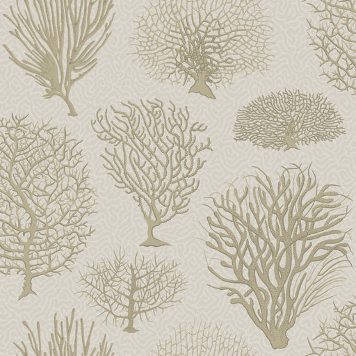 COLE & SON - SEAFERN- STONE - Wallcovering by the Roll STONE