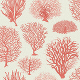 COLE & SON - SEAFERN- CORAL - Wallcovering by the Roll