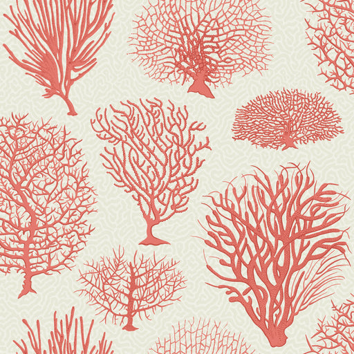 COLE & SON - SEAFERN- CORAL - Wallcovering by the Roll CORAL