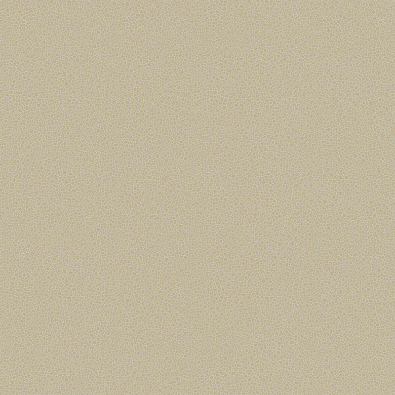 COLE & SON - GOLDSTONE- STONE & GILVER - Wallcovering by the Roll STONE & GILVER