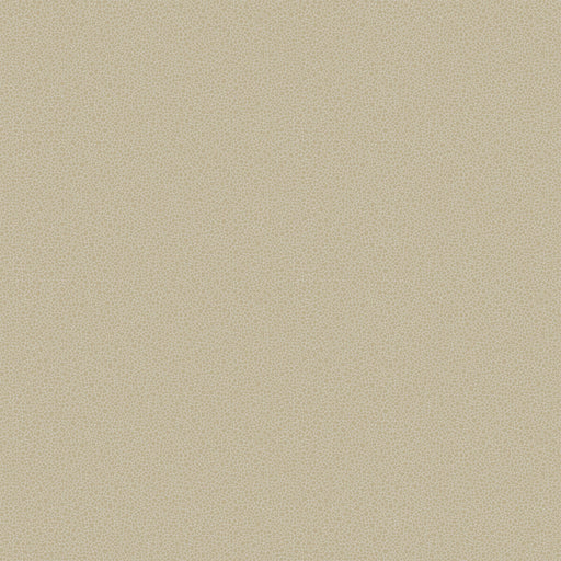COLE & SON - GOLDSTONE- STONE & GILVER - Wallcovering by the Roll STONE & GILVER