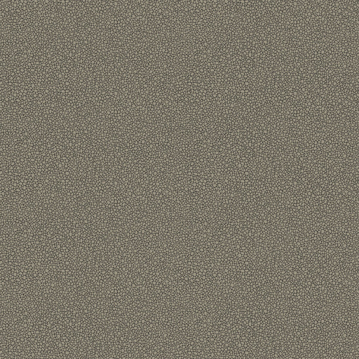 COLE & SON - GOLDSTONE- BLACK & SILVER - Wallcovering by the Roll BLACK & SILVER
