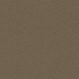 COLE & SON - GOLDSTONE- BLACK & BRONZE - Wallcovering by the Roll