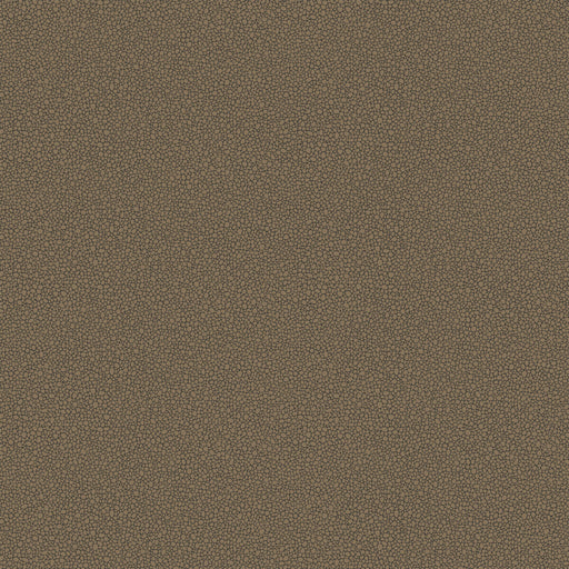 COLE & SON - GOLDSTONE- BLACK & BRONZE - Wallcovering by the Roll BLACK & BRONZE