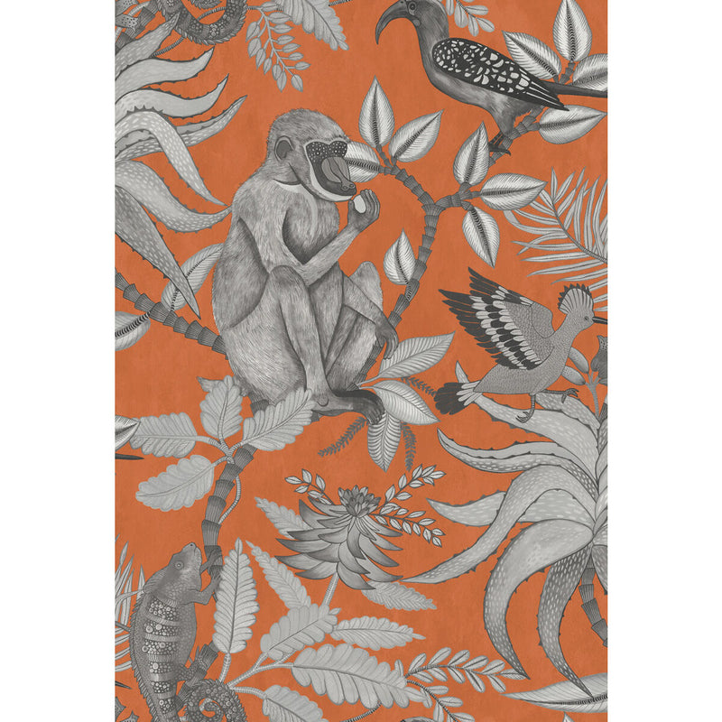 COLE & SON - SAVUTI- ORANGE - Wallcovering by the Roll ORANGE
