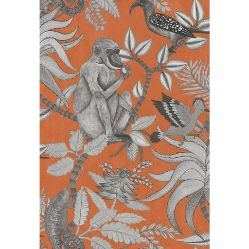 COLE & SON - SAVUTI- ORANGE - Wallcovering by the Roll ORANGE