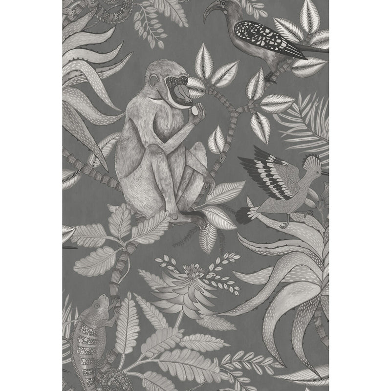COLE & SON - SAVUTI- CHARCOAL - Wallcovering by the Roll CHARCOAL