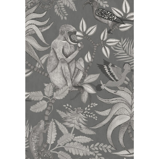 COLE & SON - SAVUTI- CHARCOAL - Wallcovering by the Roll CHARCOAL