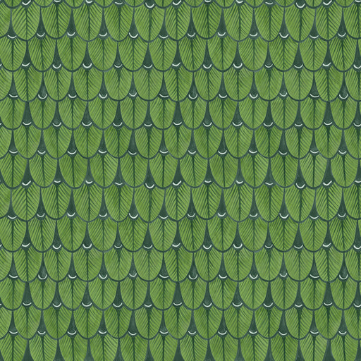 COLE & SON - NARINA- LEAF GREEN - Wallcovering by the Roll LEAF GREEN
