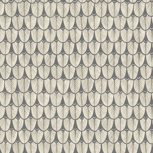 COLE & SON - NARINA- BLACK & WHITE - Wallcovering by the Roll BLACK & WHITE
