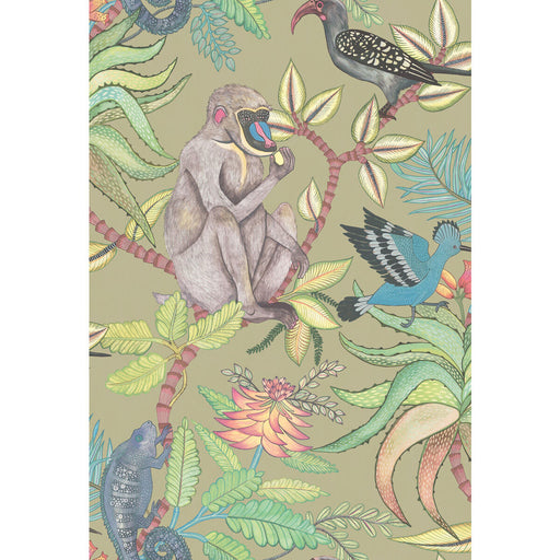 COLE & SON - SAVUTI- KHAKI MULTI - Wallcovering by the Roll KHAKI MULTI