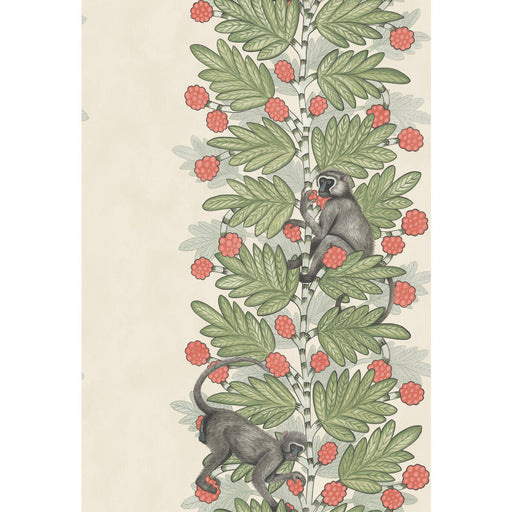 COLE & SON - ACACIA- GREEN & CORAL BERRIES - Wallcovering by the Roll GREEN & CORAL BERRIES